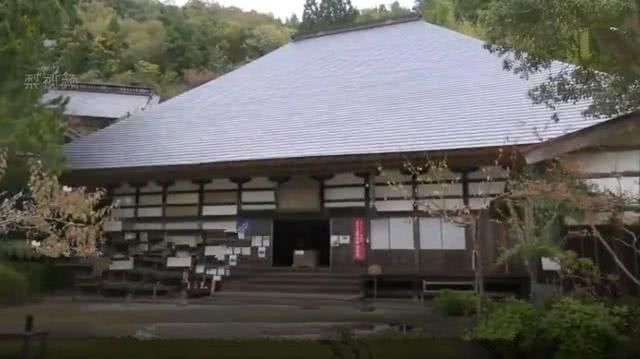 日本佛寺为野兔建观音像, 半夜亮着红色兔眼, 路人遇见受惊吓!