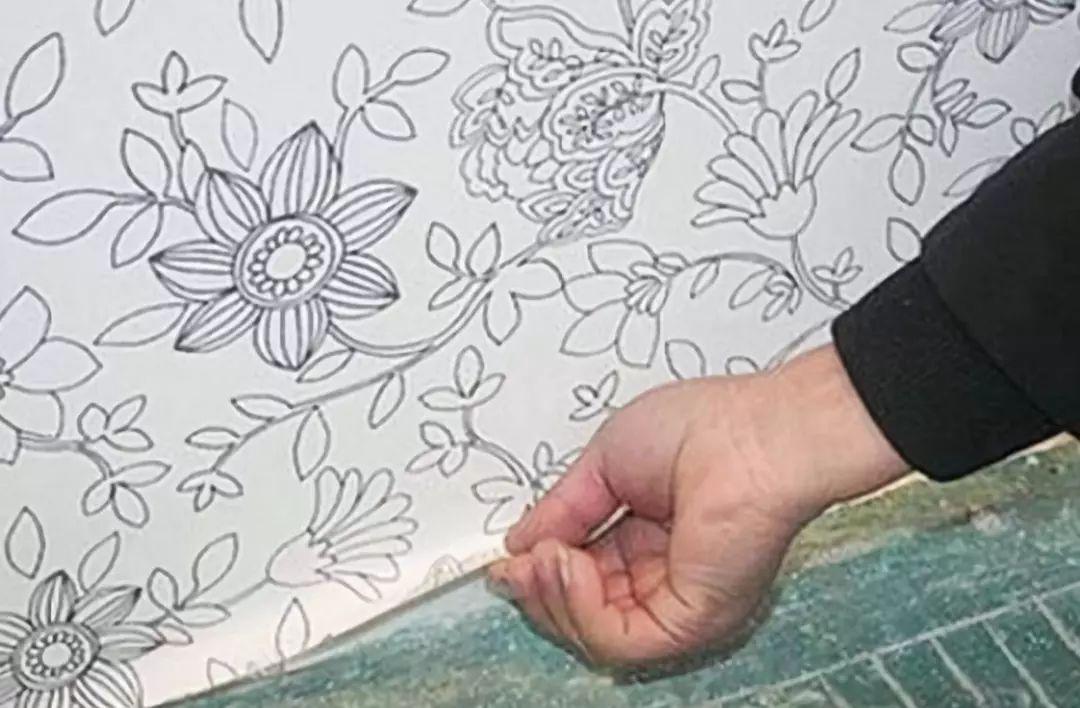 树知识丨壁纸经常发霉脱胶? 大树装饰教你如何保养