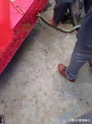 男子买了个二手床垫, 晚上睡觉发现不对, 拆开后不淡定了