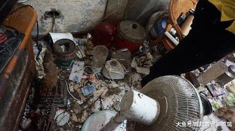 2兔暴增50只挤在蟑螂垃圾堆、满地粪便食物只有厨余