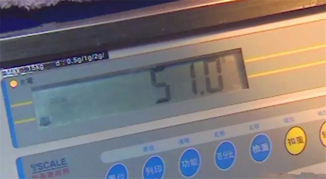 熊猫幼崽被母亲放弃, 因出生体重仅为51g, 在奶妈坚持下被救活