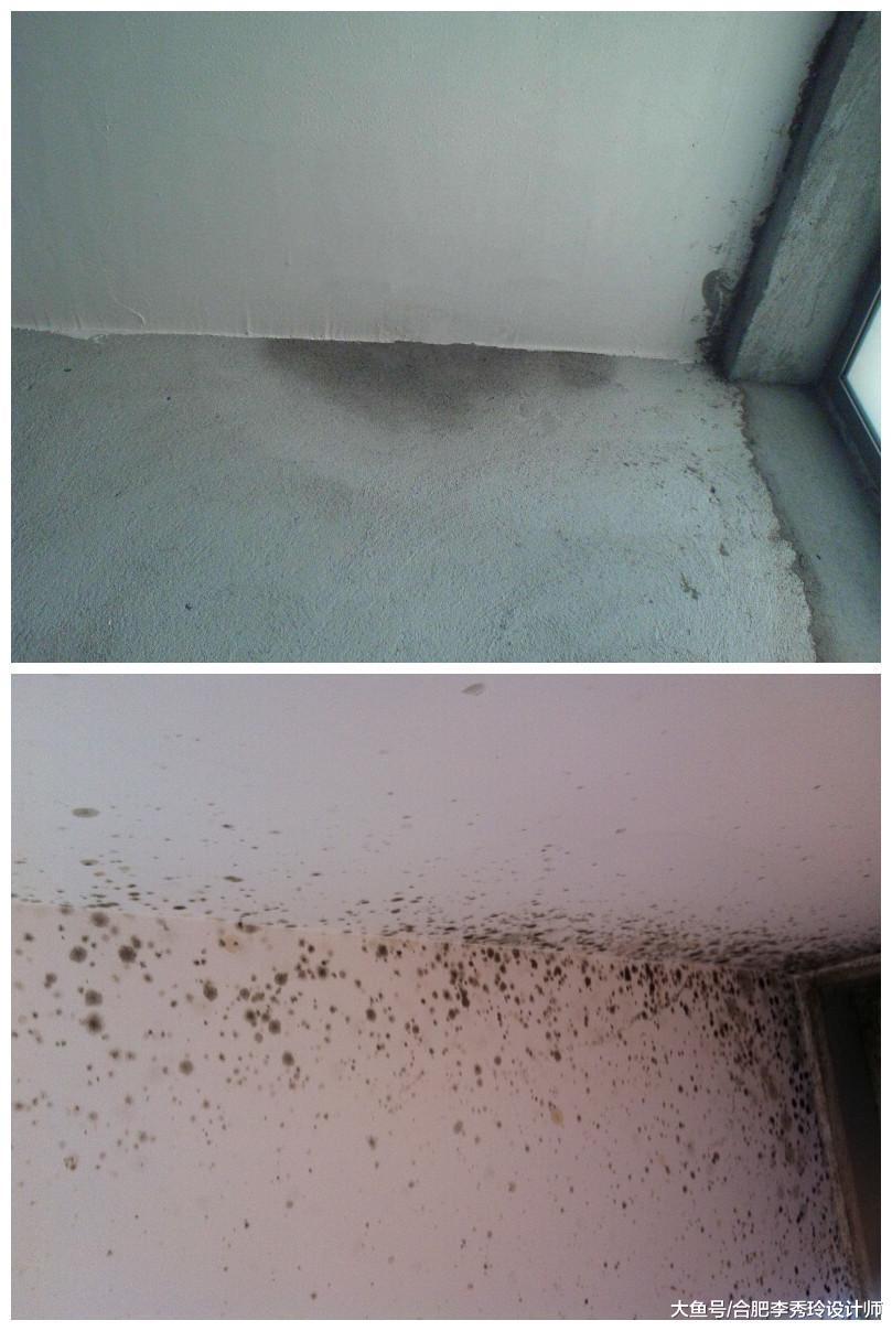 被坑惨! 楼上防水做不好, 连累我家卫生间渗水, 如今洗澡都困难