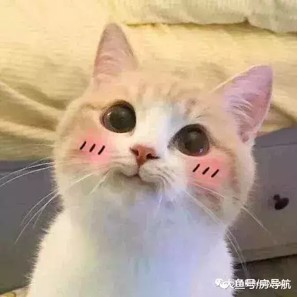 年底彩蛋| 房导航2周岁啦! 小程序即将上线