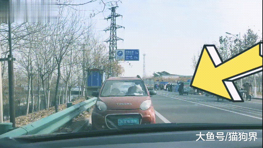 萨摩坐驾驶座等人, 路人: 去火车站, 50走不走? 萨摩: 5斤狗粮