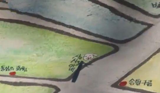 大白熊每日守在墙头与路人互动, 其实只为等待母亲, 如今终于重逢
