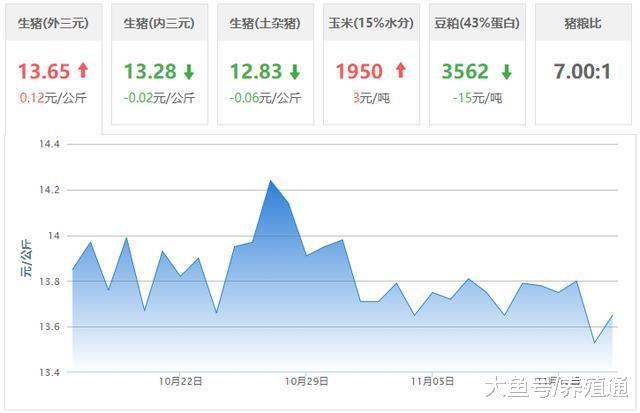 2018年11月15日生猪价格走势 1400万头猪袭击猪价!