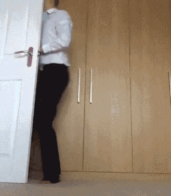 跟狗狗玩捉迷藏, 感觉智商受到了侮辱!