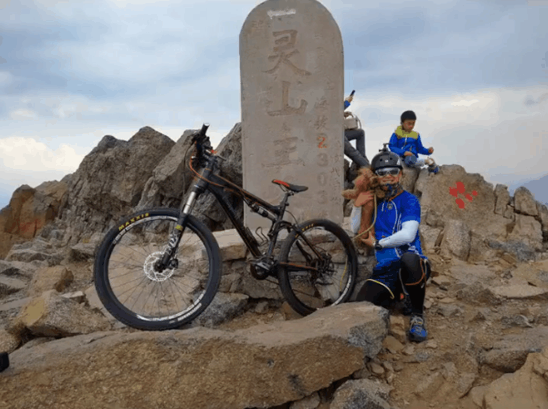 主人骑自行车带泰迪周游世界, 狗坐在车里探头看, 网友: 狗生圆满