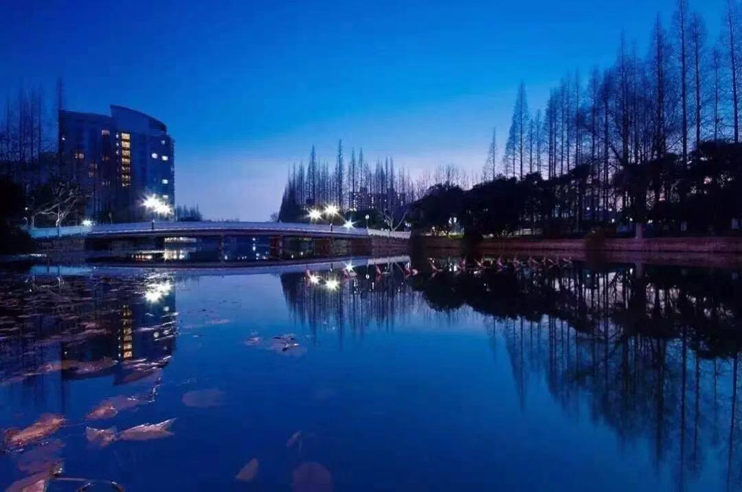 如果没有上海, 我都不知道住北京这么惨, 找便利店比找对象还难