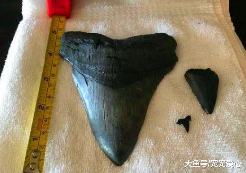 男子捡到一块黑色三角形石头, 拿起来发现手感不对, 鉴定后乐开花