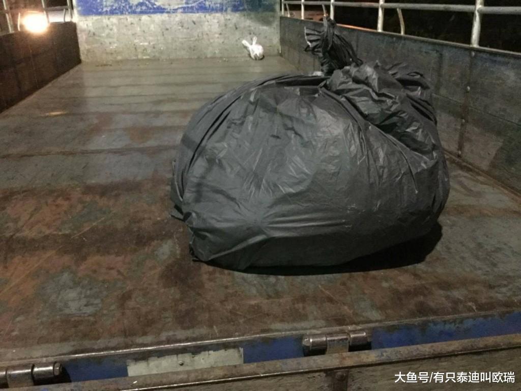 忠犬力拼毒蛇拯救家人「牺牲中毒身亡」, 主人泪「行三鞠躬礼」感谢道别