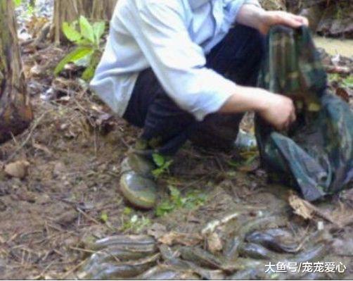 男子上山砍柴, 准备洗手时看到水里有动静, 细看后心中乐了