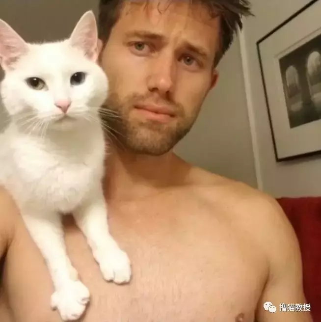 一个单身猫奴的生活, 竟然这么忙的吗?