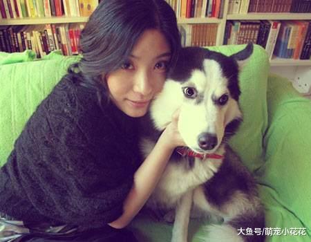 最适合女生饲养的5种中大型犬, 颜值高, 护主能力还一流!