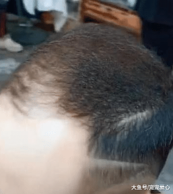 男子前额秃头, 让造型师改造一下, 最后看到效果爽快付钱