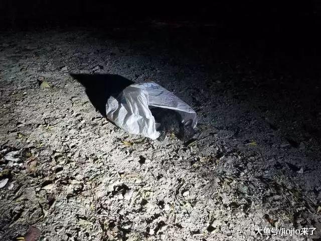 警察巡逻时发现可疑垃圾袋, 走近一看竟是……