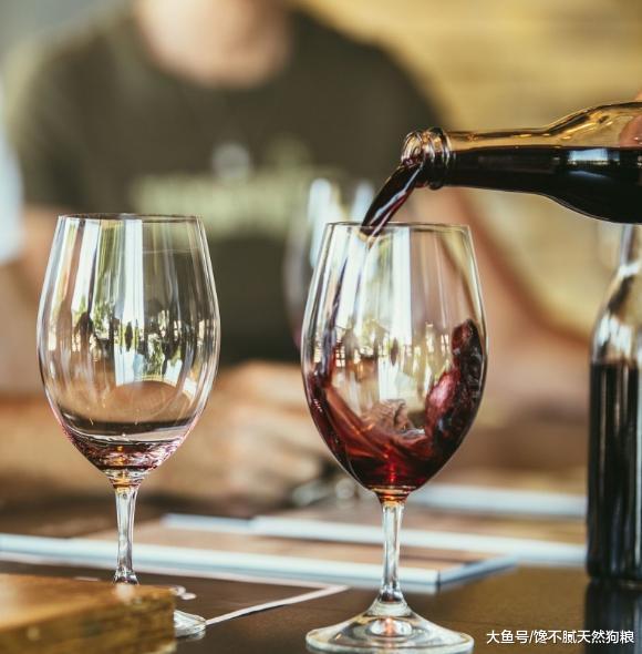 养金毛犬之后, 这5件事都要被迫戒掉, 你成功了吗?