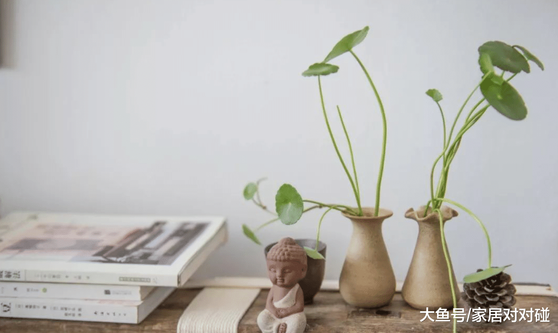 取了70个快递, 农村姑娘让出租屋变“新房”! 房东: 缺男朋友吗?