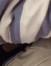 相处久了才发现, 原来狗才是“地表最强小三”!