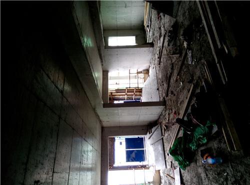 双十一来了, 买房需谨慎! (买房不看会后悔哦)