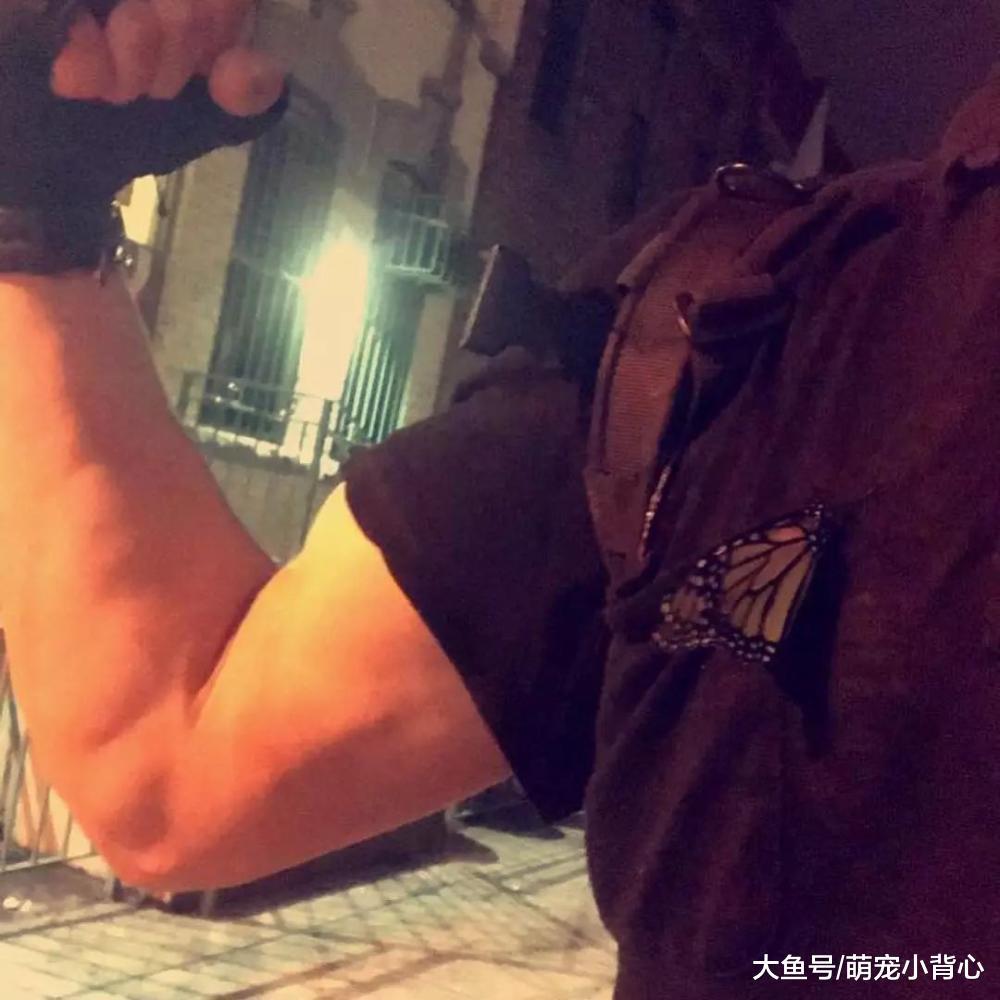 蝴蝶与帅哥的邂逅剧情, 相遇相伴仅四天!