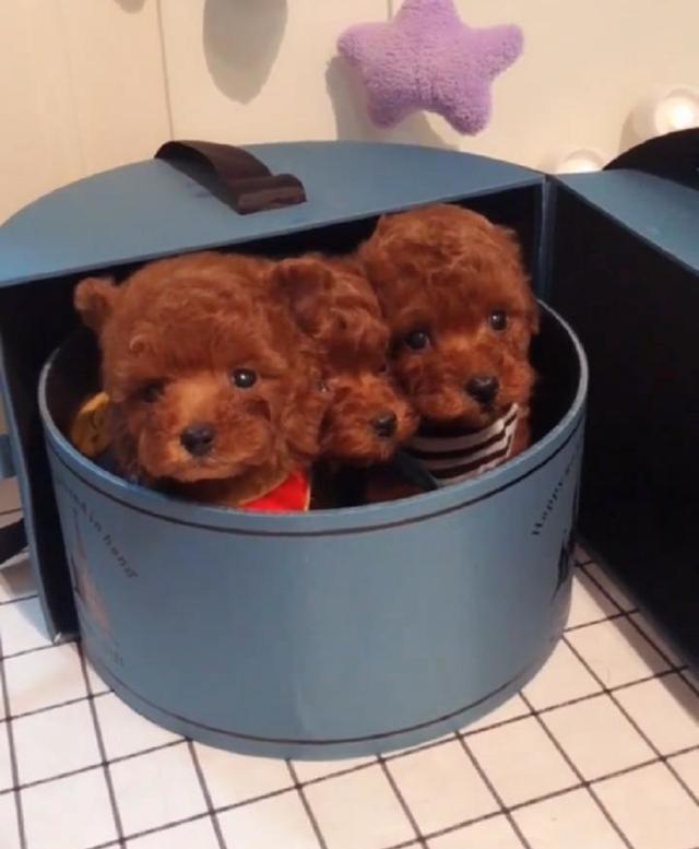 女孩收到一份礼物, 打开瞬间哭了, 原来里面装的是