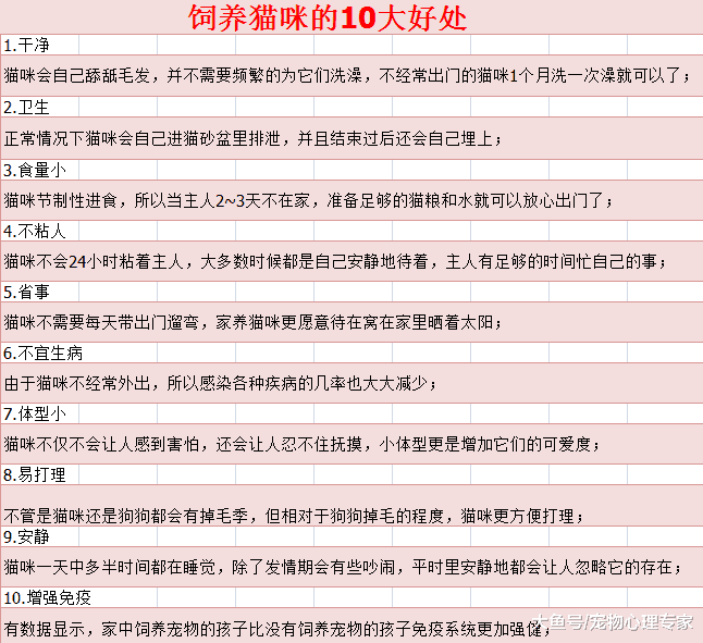 10%的猫咪不会埋便, 令主人头疼不已, 一味地抱怨倒不如查清缘由