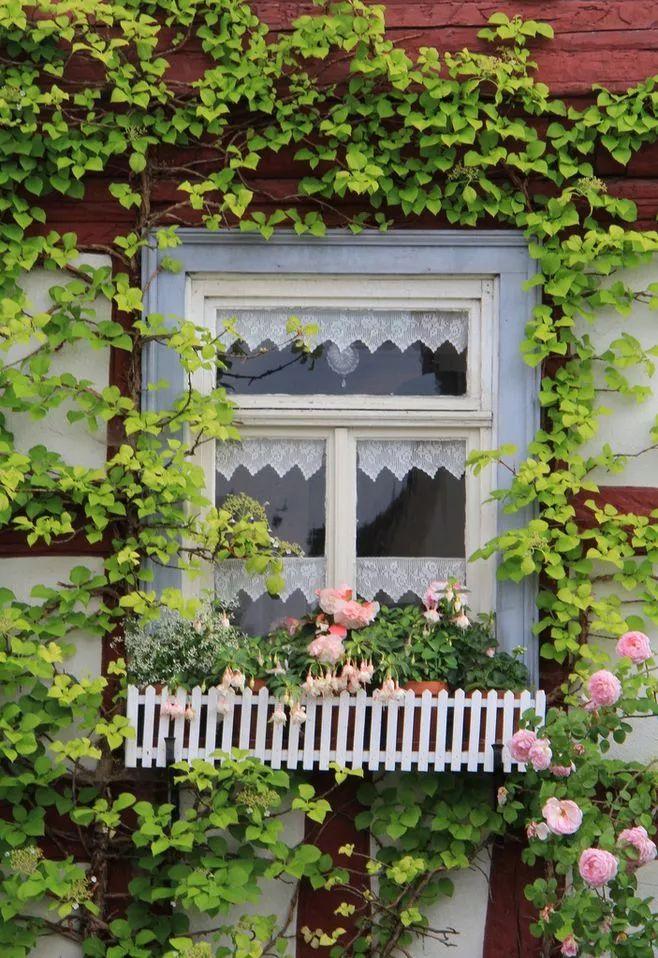 你的院子, 就是你过的日子!