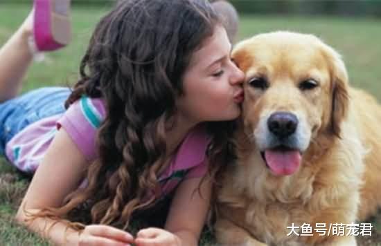 家里的狗狗非常喜欢和主人一起睡觉, 这是为什么呢?