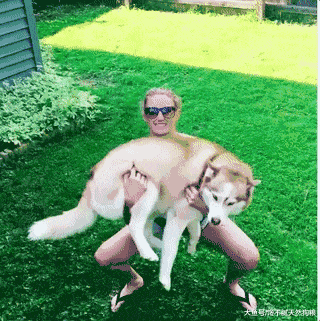 划重点! 养狗的人, 一定要确保做好这6点!