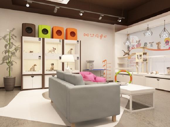 宠物实体店如何开展电商销售|不看不知道!