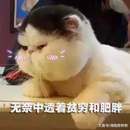 德阳2018年各片区房价地图出炉 你猜哪个片区最贵?