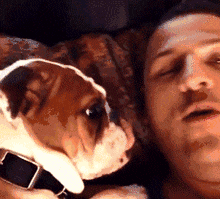 相处久了才发现, 原来狗才是“地表最强小三”!