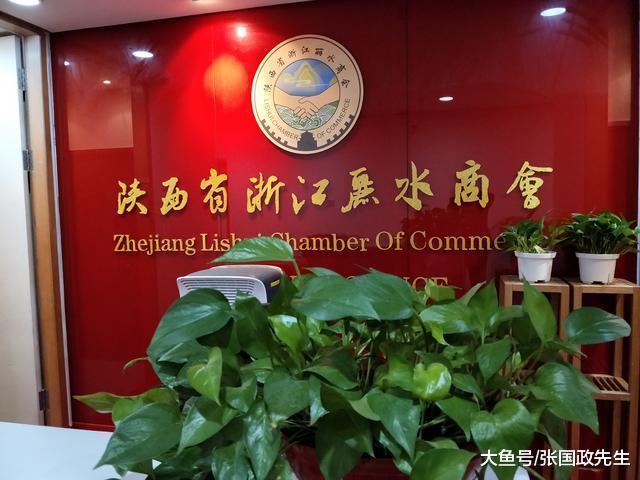 陕西省浙江丽水商会会长“杨金融”说: 我身份证姓名不叫这