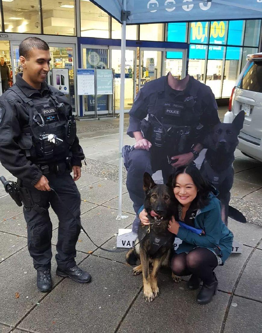 这才是警犬! 拍大片、执行任务、卖萌样样都行