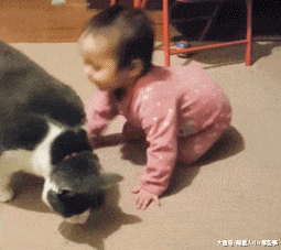 宝宝热情地迎接猫咪的到来, 谁知, 猫咪一屁股下去, 宝宝翻了!