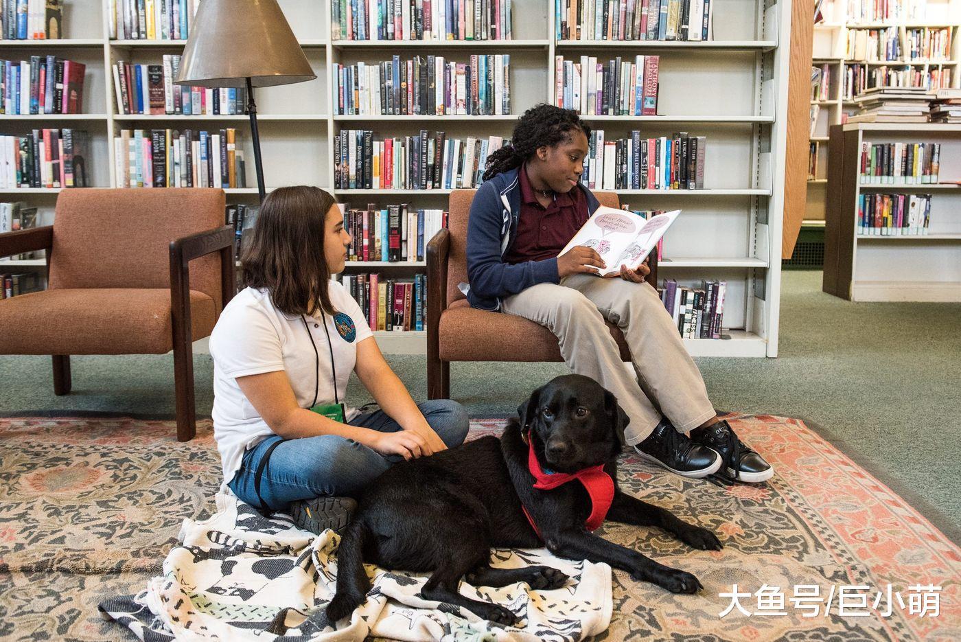 狗狗坐镇图书馆, 不想看书就撸狗, 学校表示撸狗可以提高学习效率