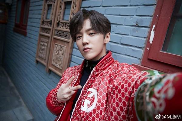 见粉丝零下6度追星! 鹿晗包下专车送回家, 粉丝: 爱你一辈子