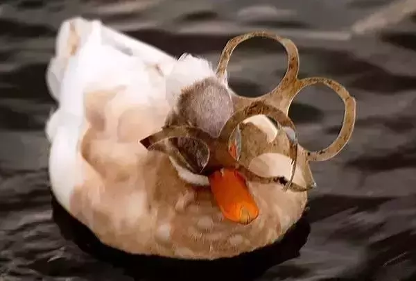 海龟■人类到底有多作孽? 一组图看清人类多么残忍