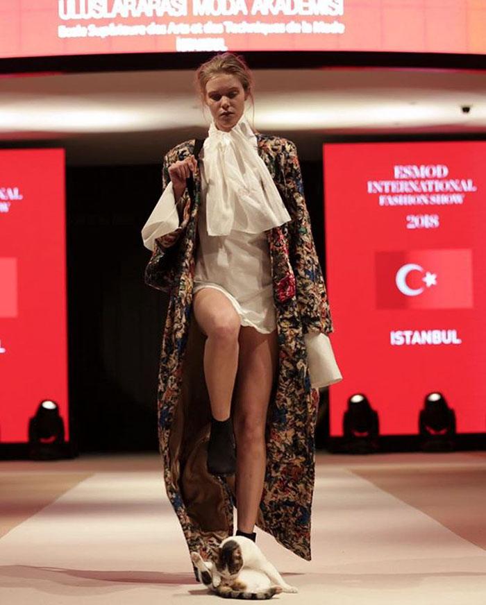 在T台中间舔屁股, 动手打人, 冷静得也只有他了!