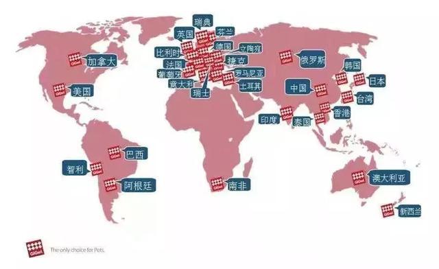 独家专访 | 贵为GiGwi于帅: 坚持创新做自有品牌, 国内宠物玩具市场红利期将至