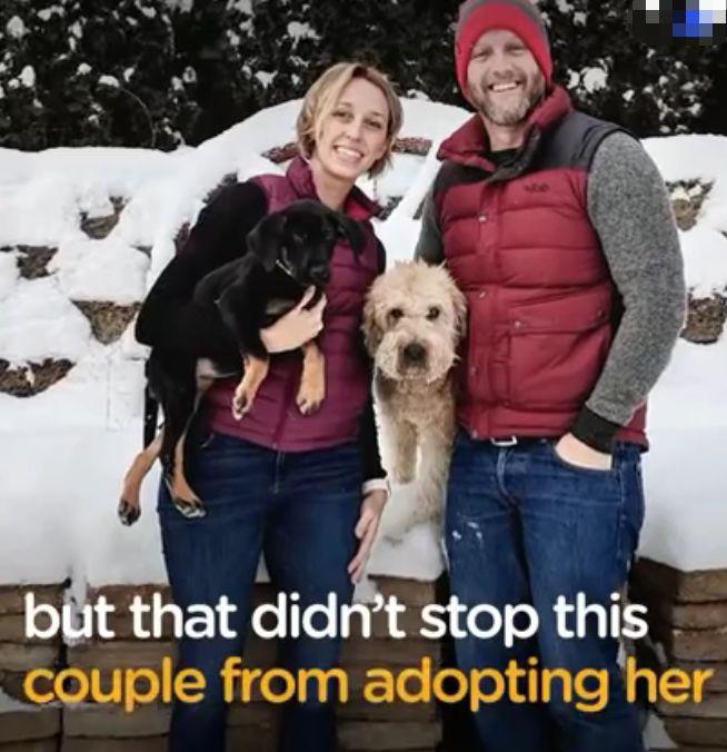 在领养人的帮助下, 后腿残疾的狗狗重新开始奔跑, 爱能治愈一切!