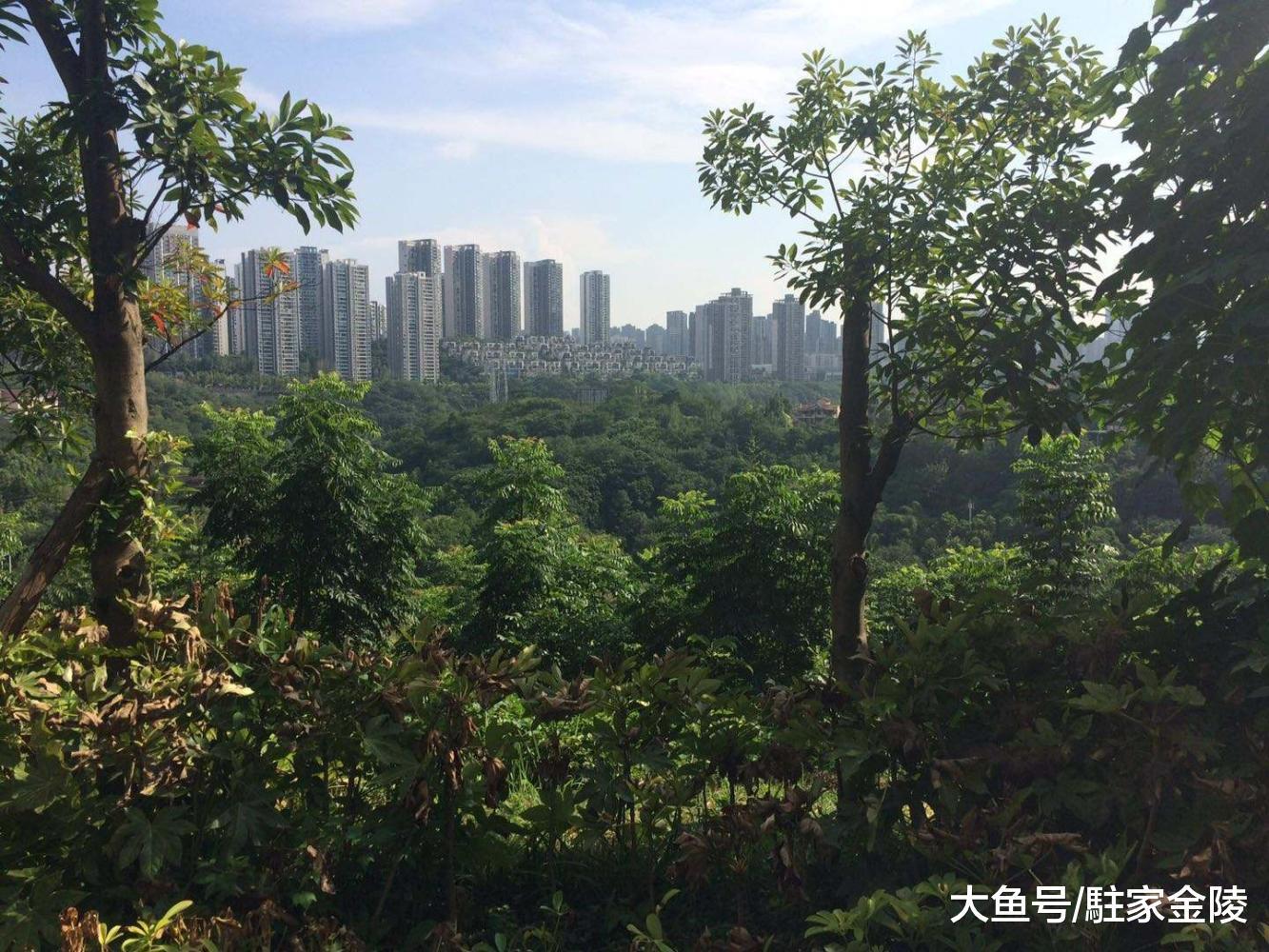 第一次入手学区房, 实现需了解这几点