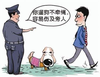 不拴狗绳频起冲突, 该如何化解这之中的矛盾
