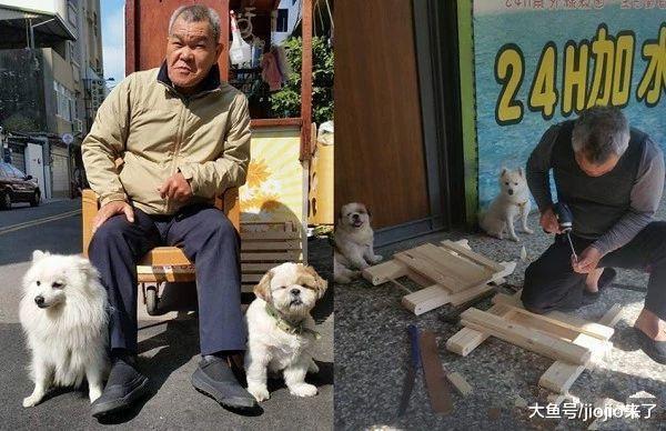 傲娇老爸曾经嘴上说着讨厌狗, 现在却为狗做床睡! 网友: 真狗奴