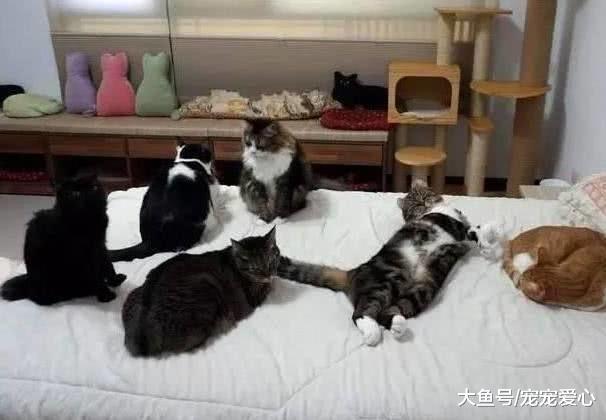 男子开了电热毯就去洗澡, 出来后一看, 整个人都不淡定了