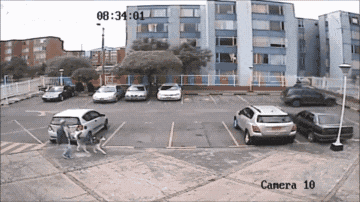 比特犬没有狗绳, 遇到邻居小孩后“猖狂”了, 差点酿成大悲剧!