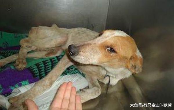 曾经被学校校长活埋, 但她后来奋斗活了下来并给施暴者最后悔的反击!
