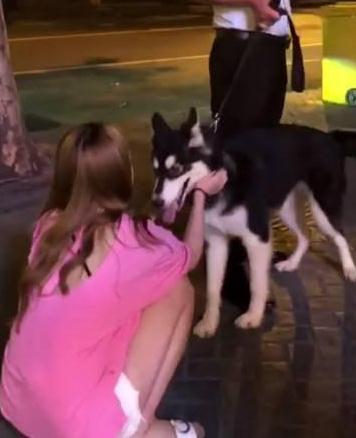 男子带二哈搭讪美女, 眼看要成功了, 结果二哈一脚踩人家姑娘脸上