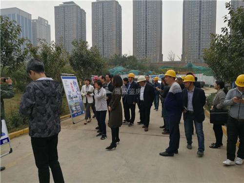 西安辰宇世纪城被巡查, 你们不好奇过关没过关吗?
